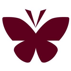 Transform icon