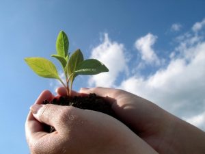 Change-Sustain